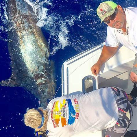 kona fishing report|kona cowboy fishing.